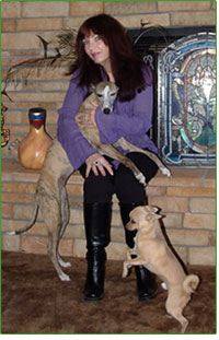 Boudicca, Sherry and Bixi enjoying the Stress Free life.
