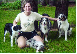 Liane with her Aussie charges, all from Second Time Around Aussie Rescue, Inc.: Bella, Sabrina, Merlin and Stormy.