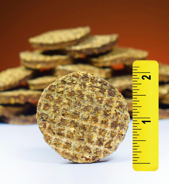 Springtime's Duck Cookies - <br/>Big Cookies for a Big Value! <br/>(& big enough to break up!)
