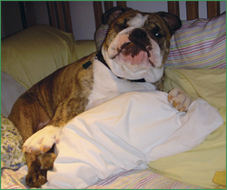 George helping out with the sheets.