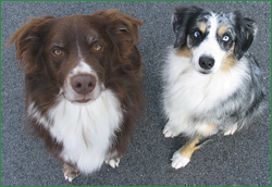 Sam, age six, and Shelby, age four, are the picture of good health!