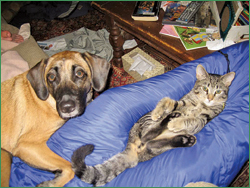 Jadis and her kitty buddy, Duffle.