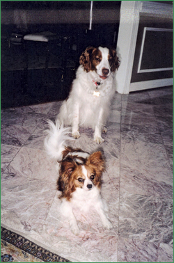 Brody and Link, full of good health!
