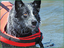 Sydney having a relaxing day at the bay.