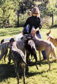 Debra surrounded by an adoring pack of rescued Greyhounds.