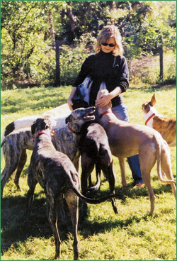 Debbie surrounded by an adoring pack of rescued Greyhounds.