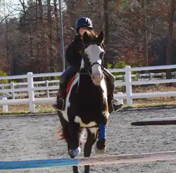 Tux looking (and feeling!) good.