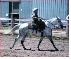County fair winners, Emilee and Echo, working the ring.