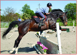 Jeanine and her young Hunter, Pistol, taking a jump.