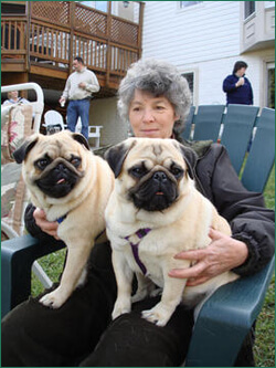 Scottie (L) and Annie (R) on Susan's lap