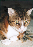 Mr. Dickens, still spry for 22.