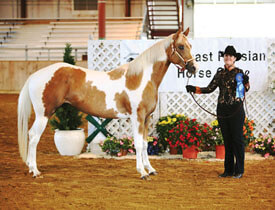 Blue ribbon time!