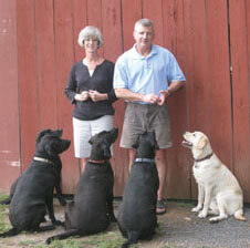 Sandy & Chris with a few of their gorgeous, attentive, bug-free Labradors.