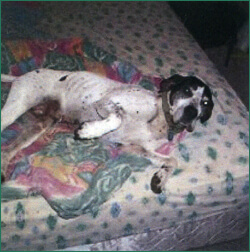 Pepper feeling better