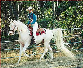 Arctic Foxx with trainer Diane Dodd.