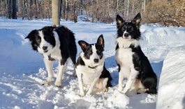 Blizzard 2016: Britt (left) with Ellie & Kai.  