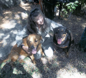B'Linda with Buck & Chess.