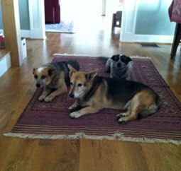 Hope, Dakota, and Bonnie.