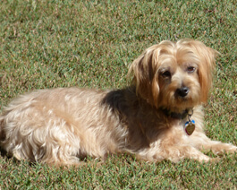 Mandy sitting pretty in the sun!