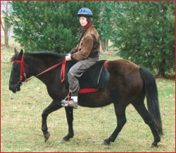 Laura & her little black mare, Baylee, riding once again.