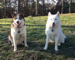 Sprocket & KaTie M. - master mischief makers!