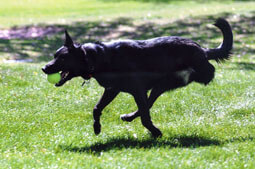 Libby loves her Fresh Factors, look at her go!