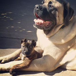 Baby Banks all cuddled up with big brother Roman!