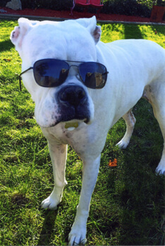 The future's so bright, Lola wears shades!