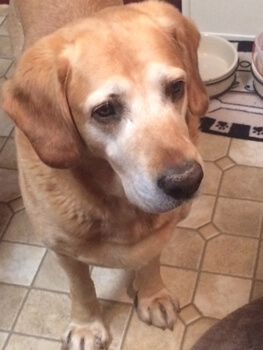 Nine years young and happy!