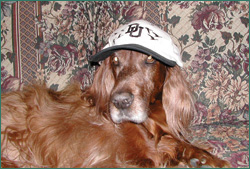 Copper is no longer a tick magnet!