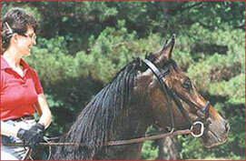 Diane with her great partner, Friday!