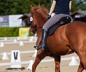 Dressage test
