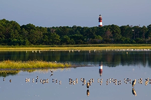 Lighthouse on Assateague Island