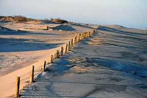 Assateage Beach