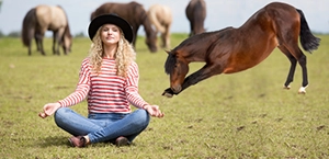 Horse stretching