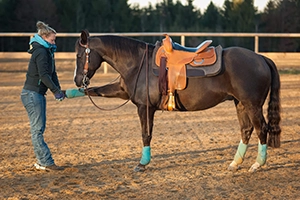 Foreleg Stretch