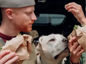 Dog sniffing food