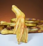 Duck Feet