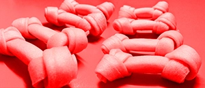 Pink Bones lined up