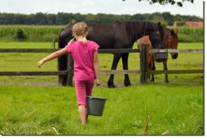 Kid bringing water to the horses