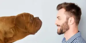 Dog sniffing person
