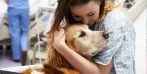 Person hugging dog