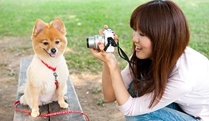 Dog model getting his picture taken