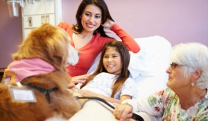 Dogtor visiting patient