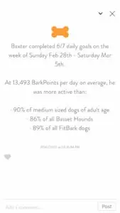 Fitbark Screenshot