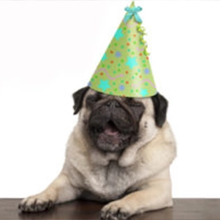 New Year’s Resolutions for Your Dog (and You)!