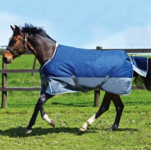 horse trotting in field wearing blanket