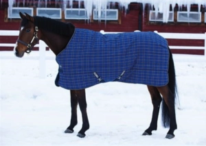 Horse standing in snowy field wearing a blanket