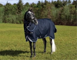 Black horse standing in grassy field wearing grey blanket