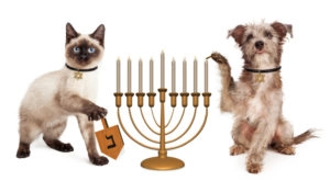 Pets with a menorah